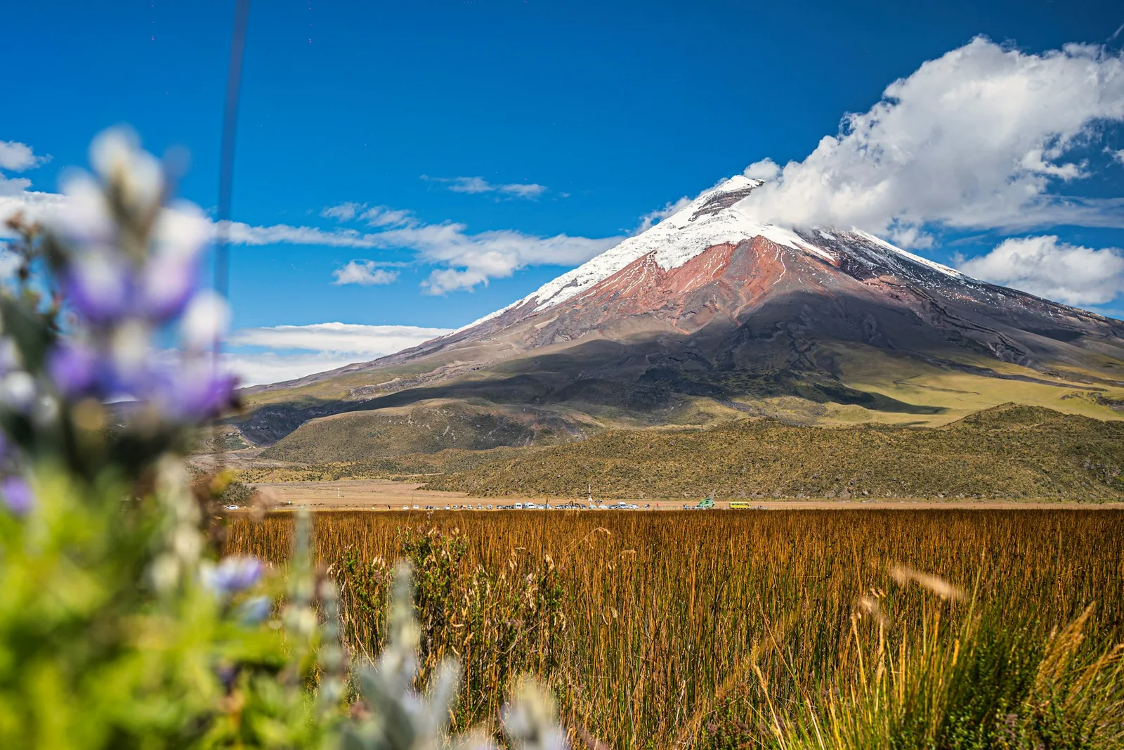 Snow-capped Cotopaxi above the Ecuadorian highlands